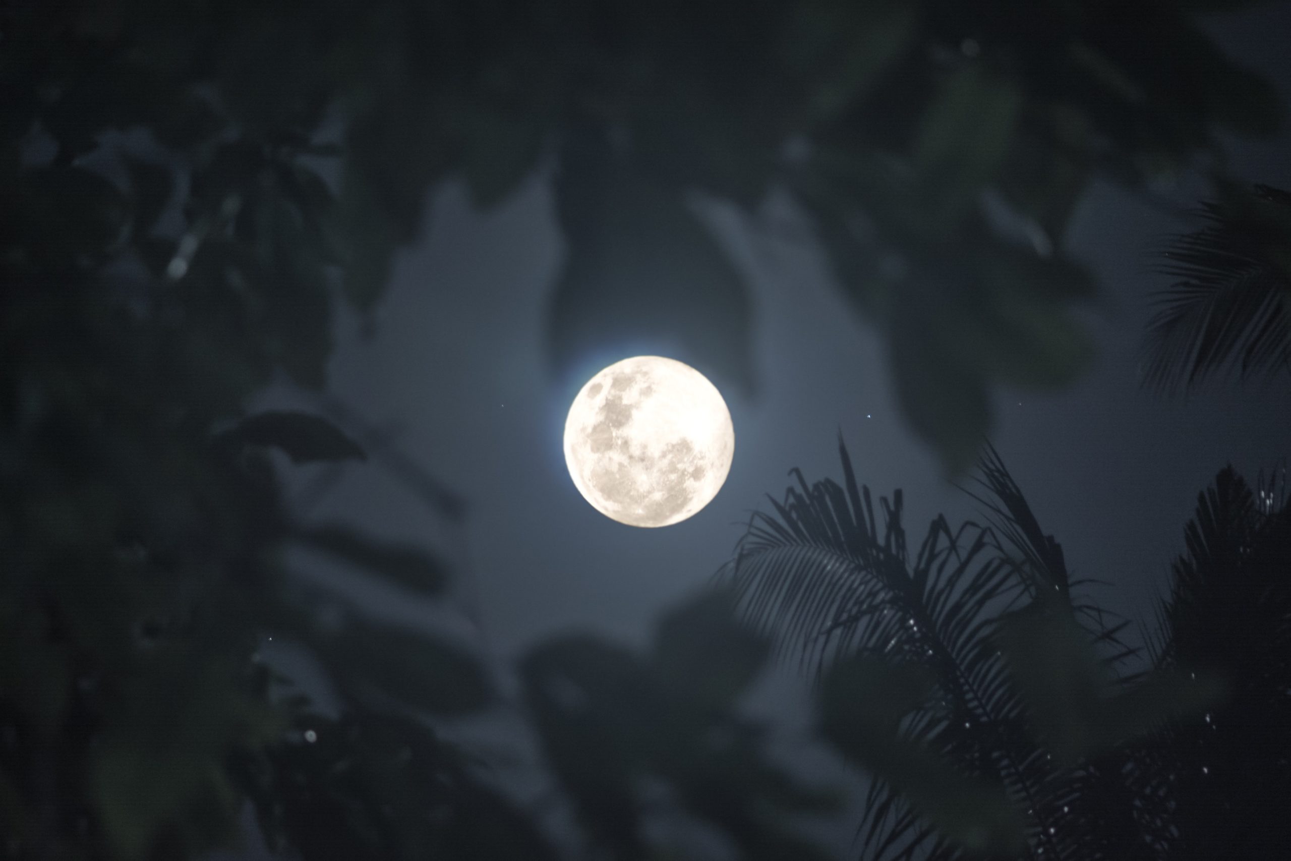 Суеверие про полнолуние. Фото ночь Луна. Звезда у Луны на сегодня. Холодная Луна.